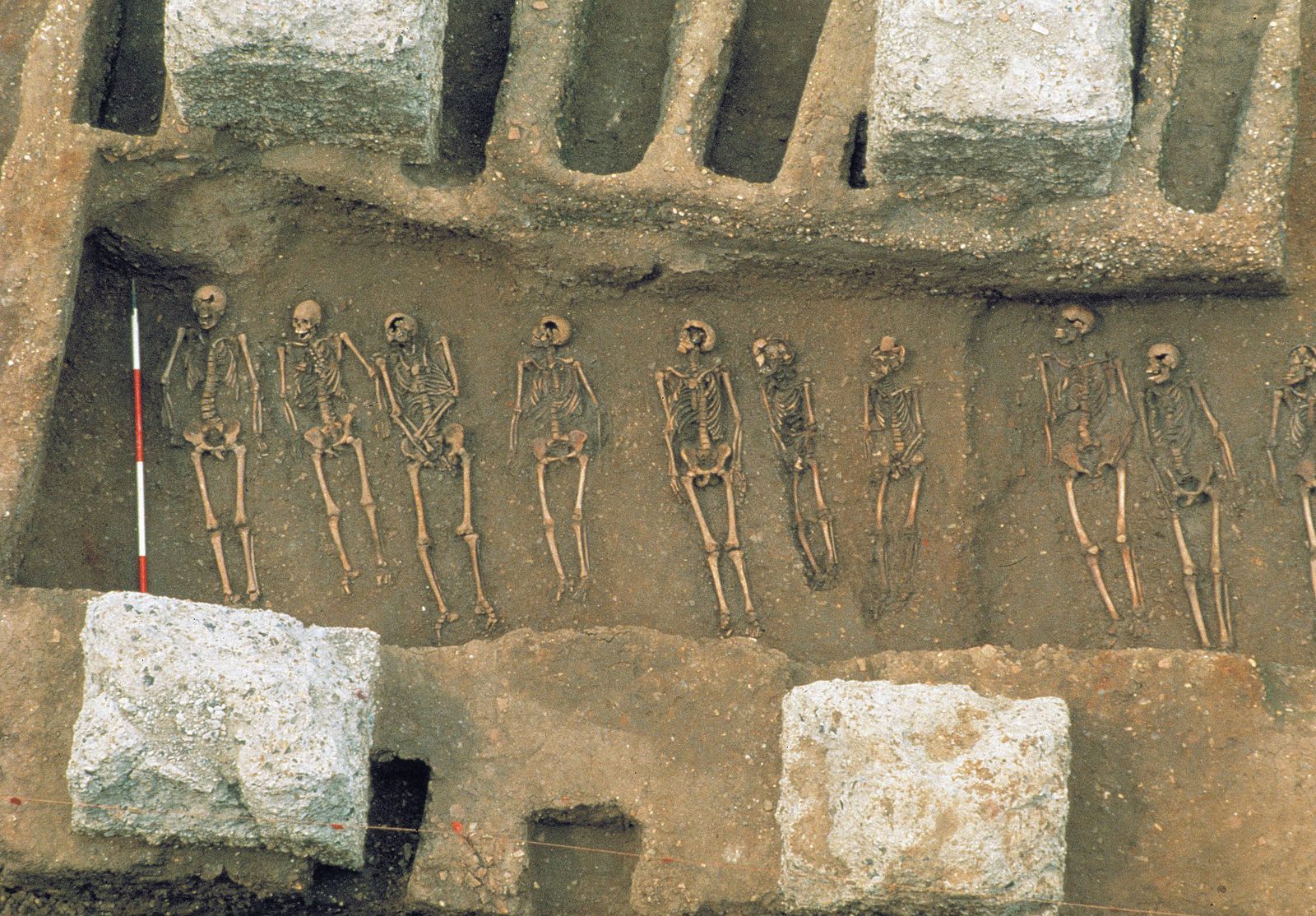 Did the Black Death Rampage Across the World a Century Earlier Than We Thought?