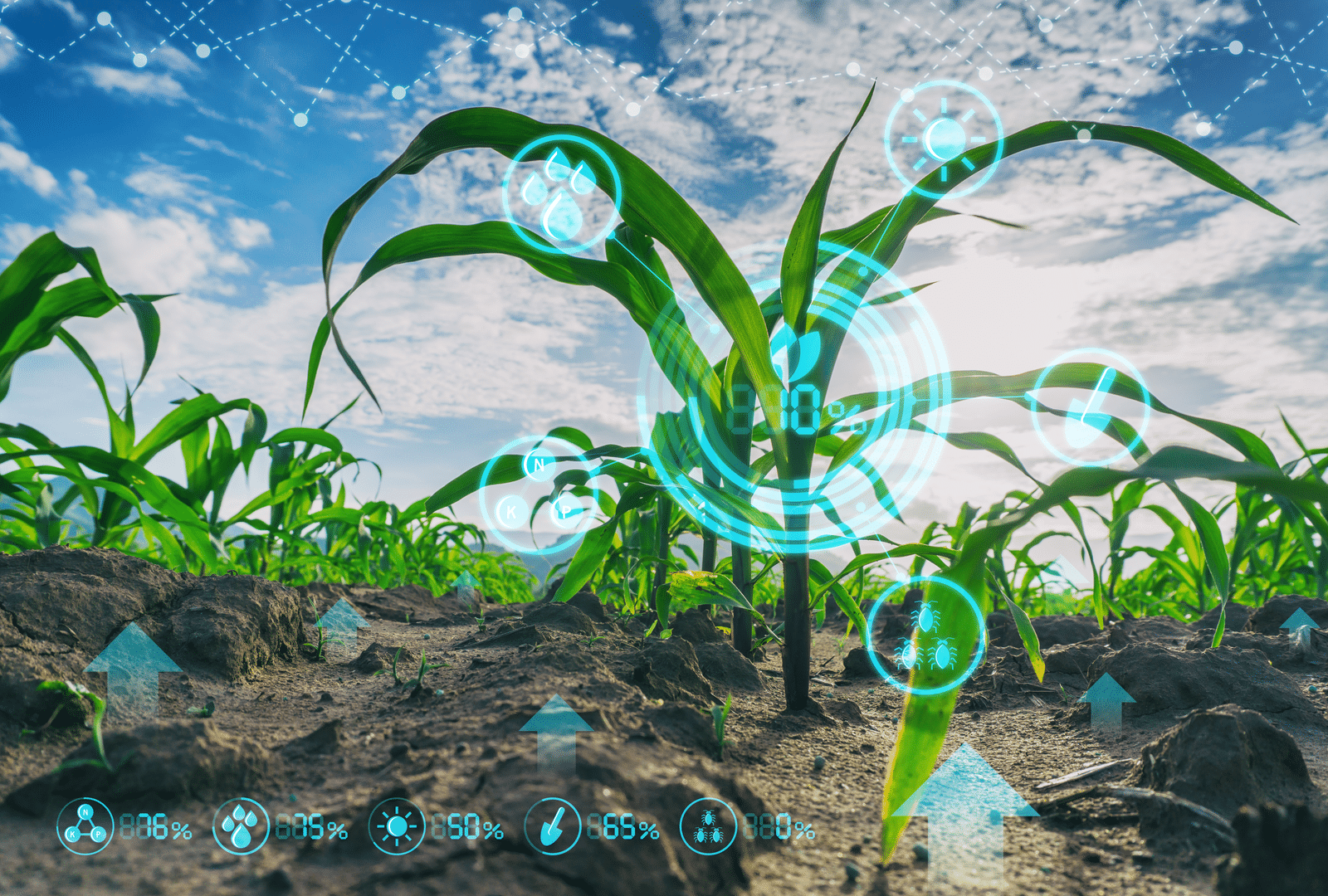 Linux Foundation starts AgStack, an open-source agtech initiative