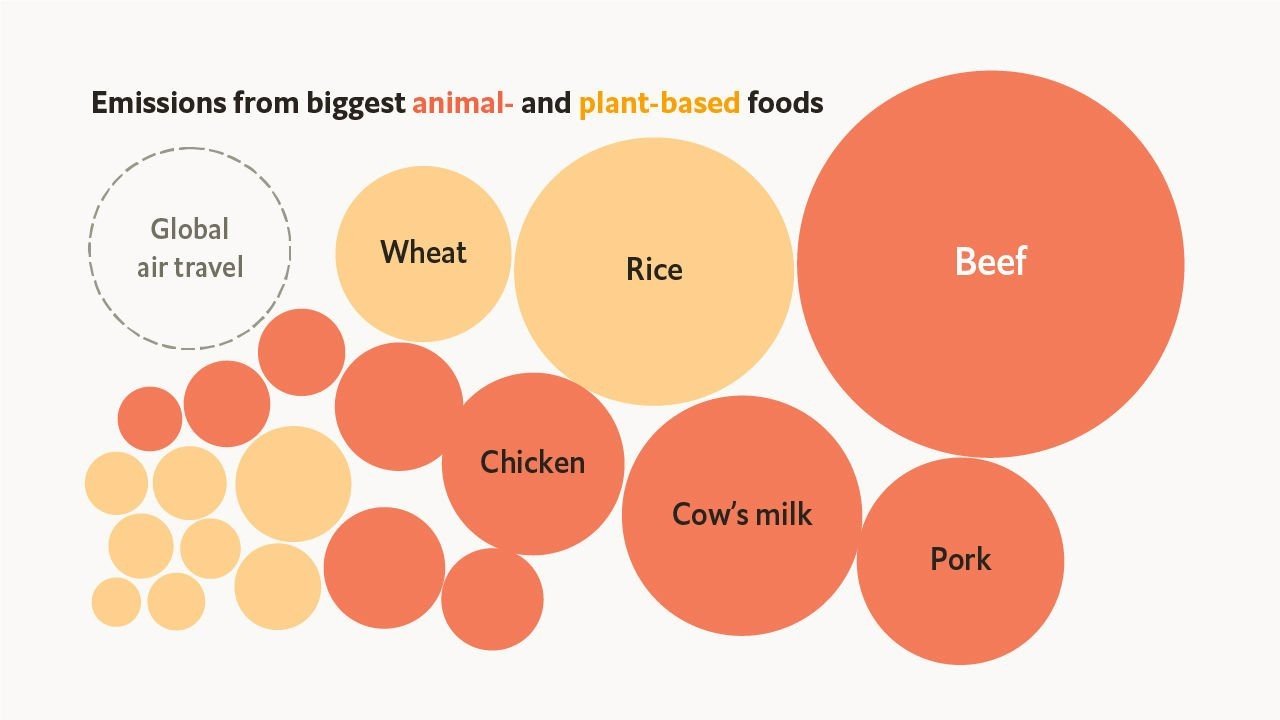 Treating beef like coal would make a big dent in greenhouse-gas emissions