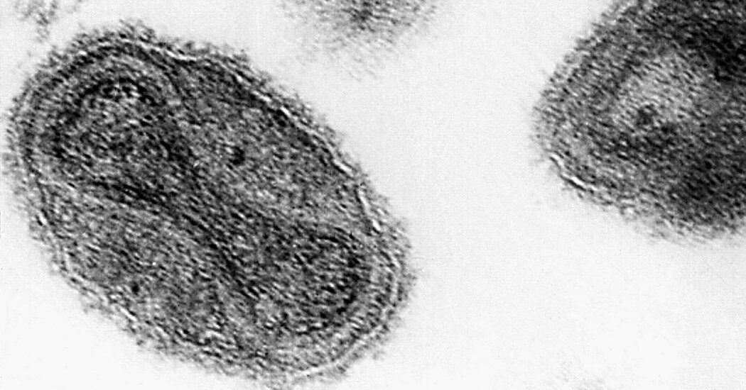 Vials Labeled ‘Smallpox’ Are Found in Pennsylvania Laboratory