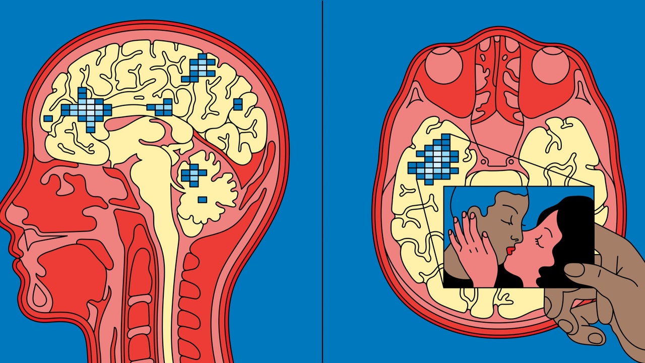 The quest to build a general-purpose thought decoder