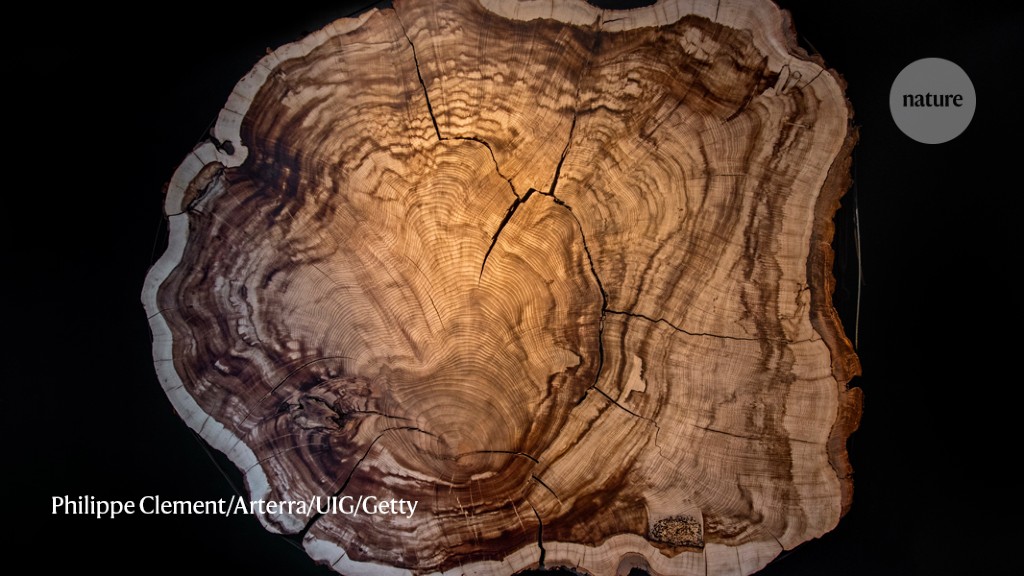 Carbon dating – is getting a major reboot