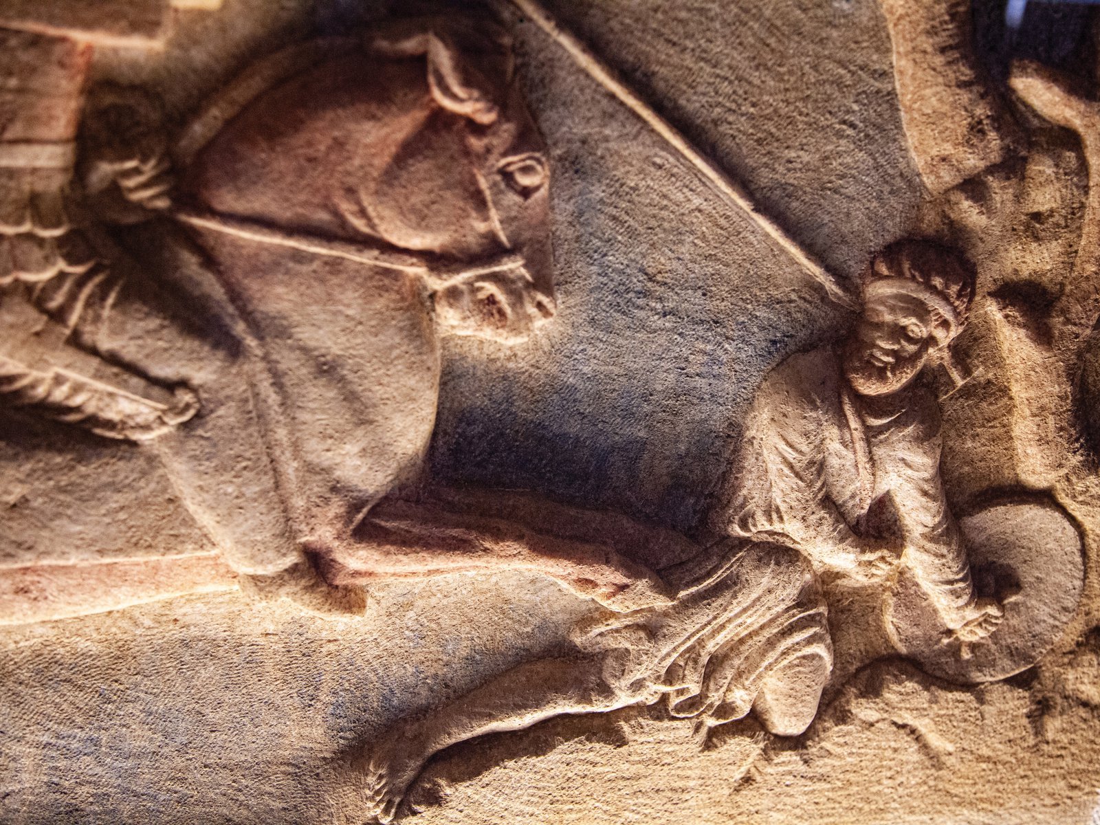 In Search of Troy