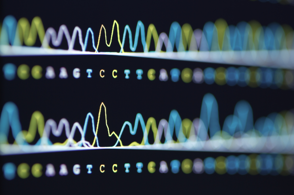 The human genome is, at long last, complete