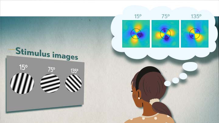 Human Brain Compresses Working Memories into Low-Res ‘Summaries’