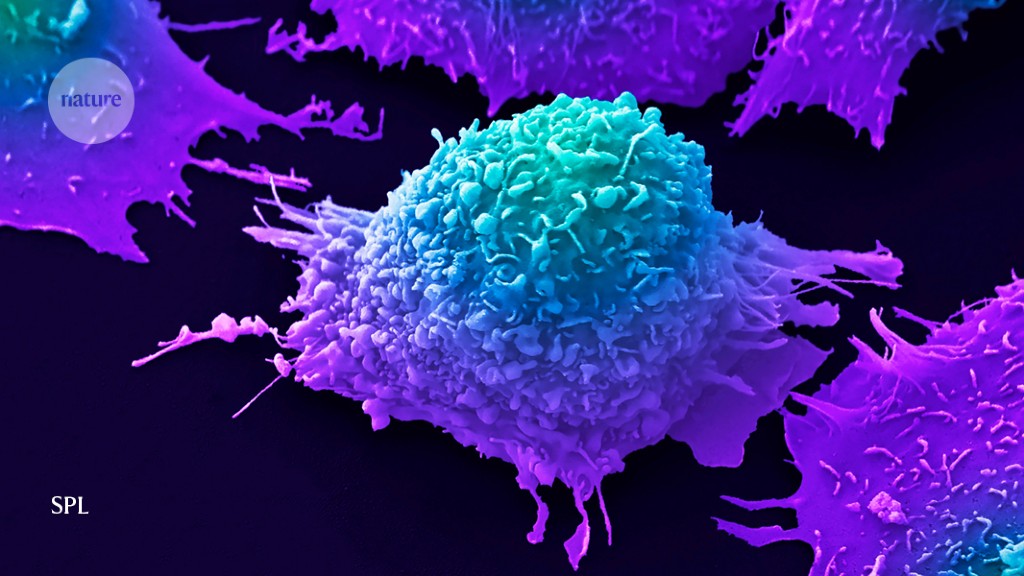 Trove of tumour genomes offers clues to cancer origins