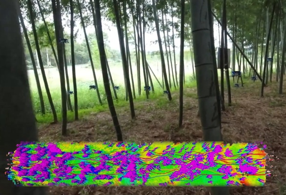 Swarming drones autonomously navigate a dense forest (and chase a human)