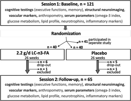 Long-Chain Omega-3 Fatty Acids Improve Brain Function, Structure in Older Adults (2014)