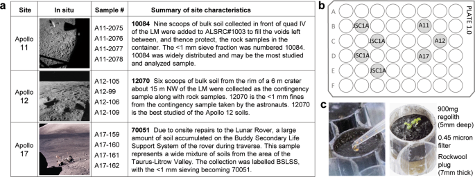 Plants grown in Apollo lunar regolith