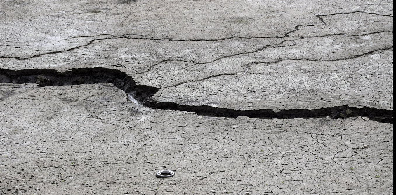 Thin, bacteria-coated fibers could lead to self-healing concrete
