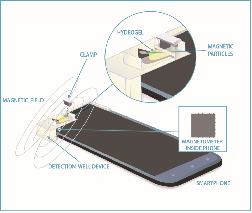 NIST researchers use cellphone compass to measure glucose