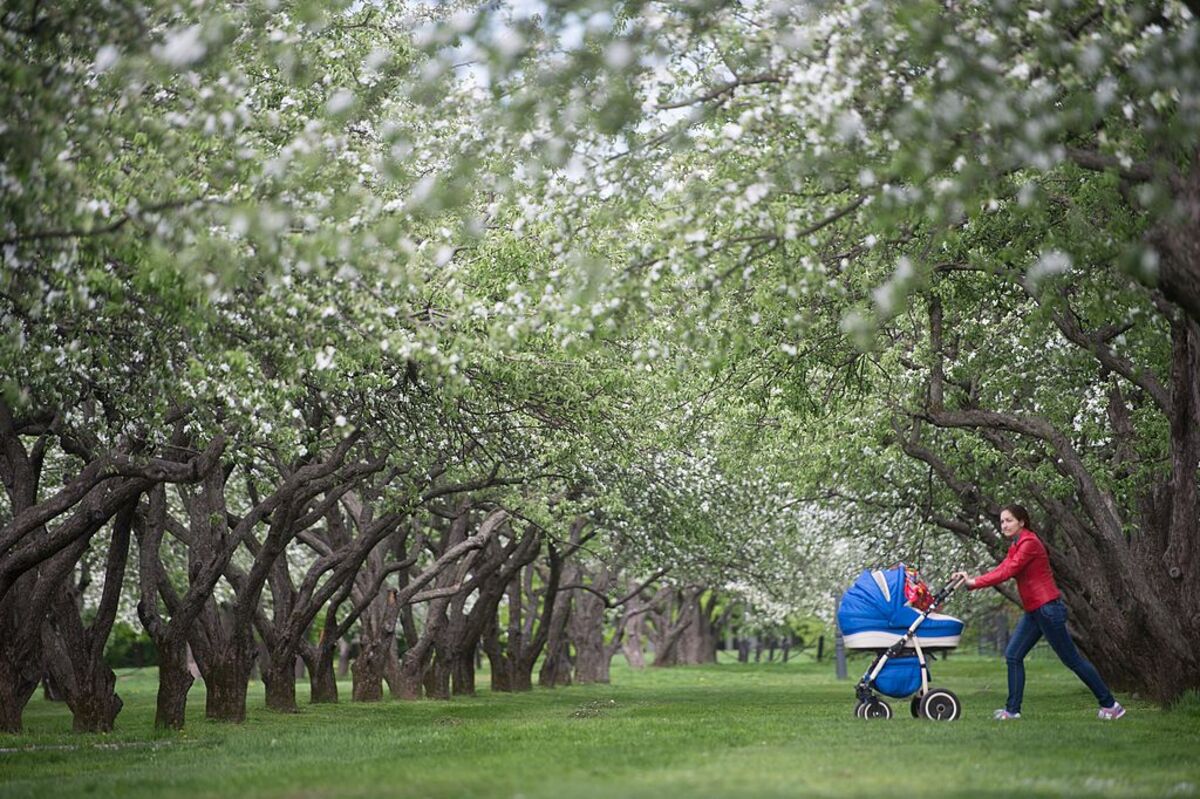 Why is Sweden paying grandparents to babysit?