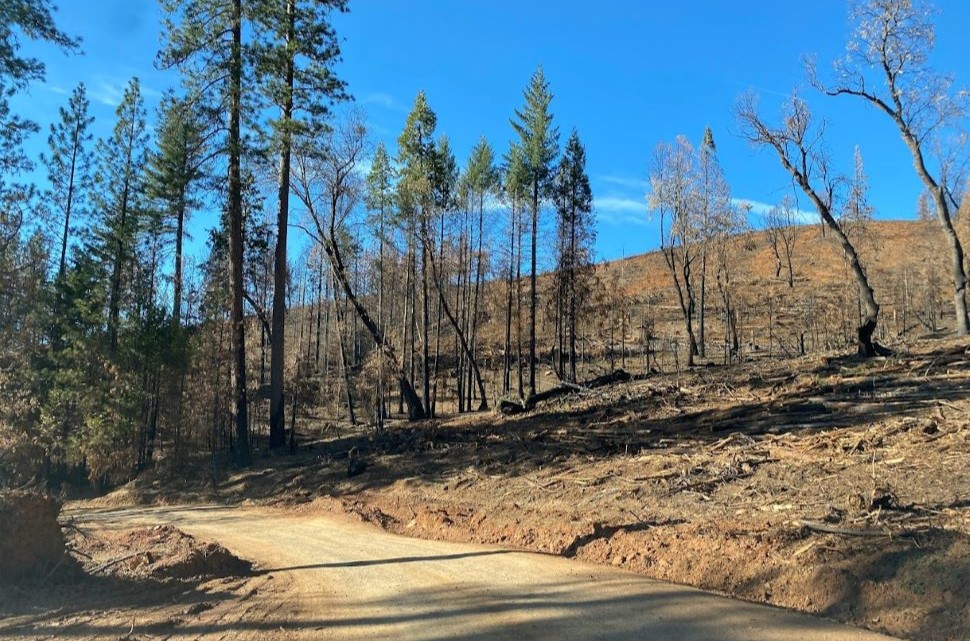 US Forest Service decision to halt prescribed burns in ca is history repeating