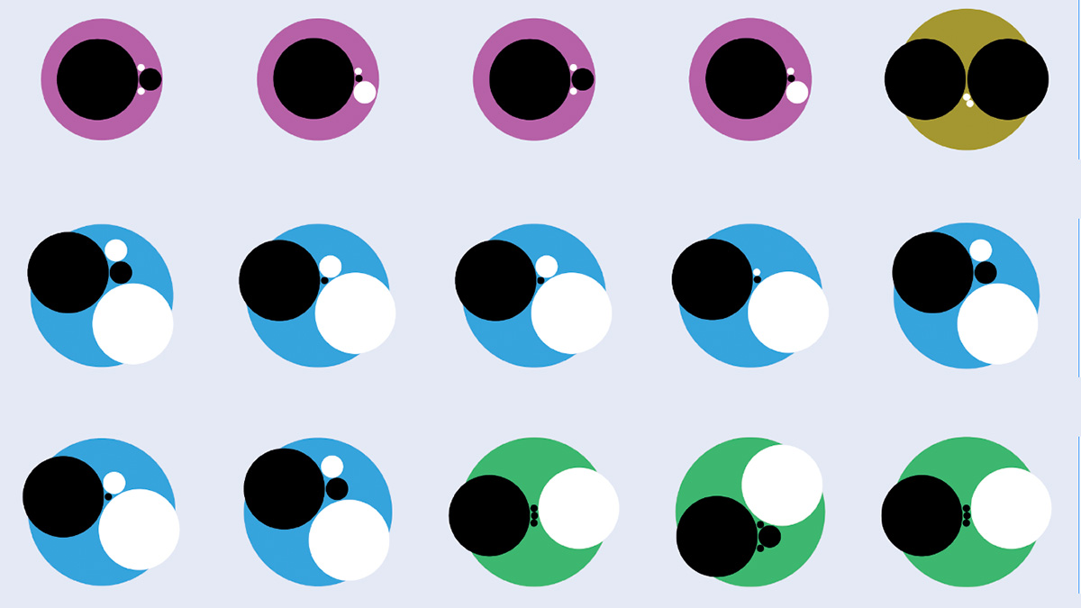 A bestiary of exotic hadrons: the 23 exotic hadrons discovered at the LHC so far