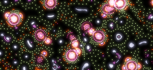 Particle Life simulation in browser using WebGPU