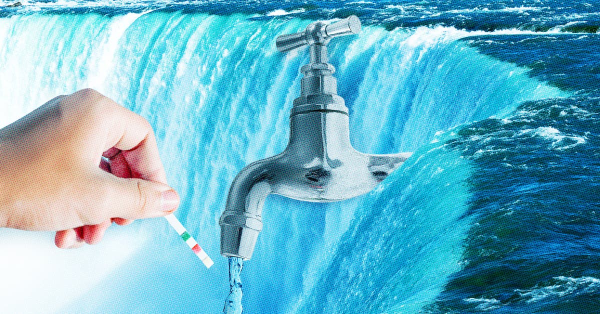 I’m Wirecutter’s Water-Quality Expert. I Don’t Filter My Water