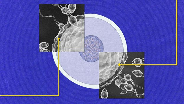 Sperm are very different from all other cells