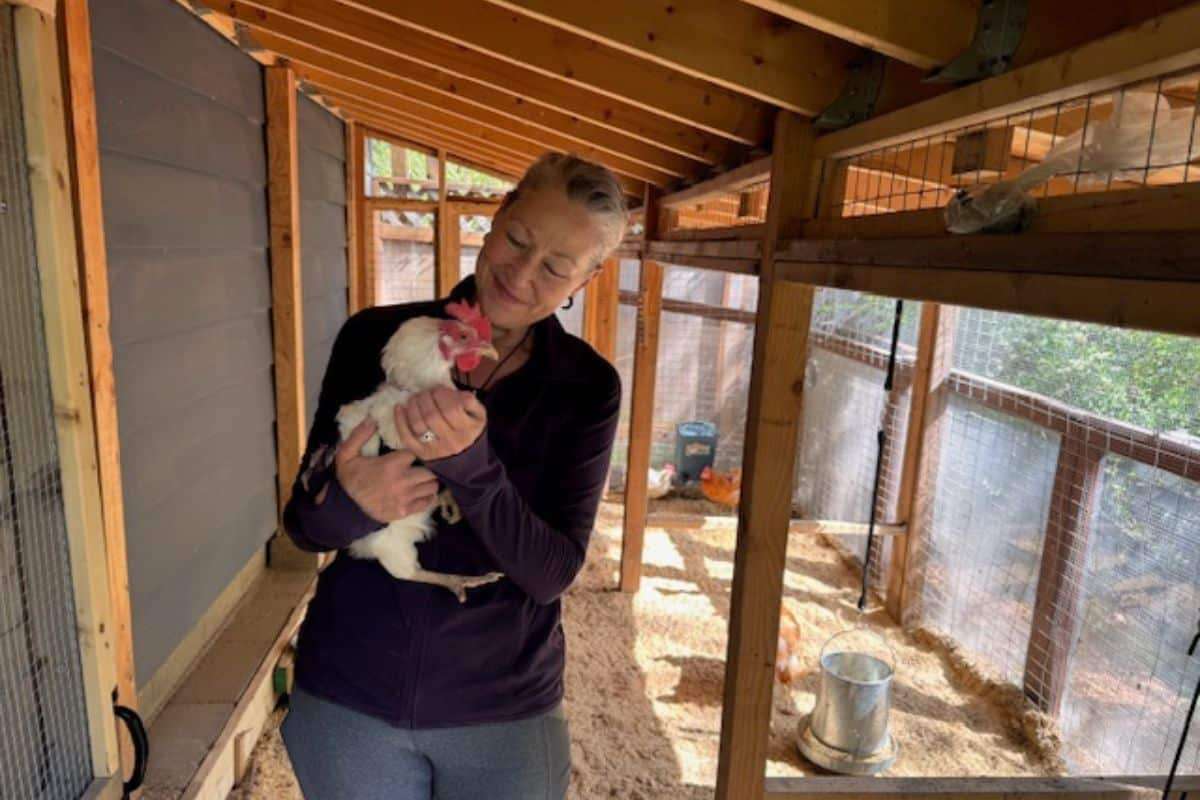 She Got a Permit for Her Chickens. Now the City Is Fining Her $80k