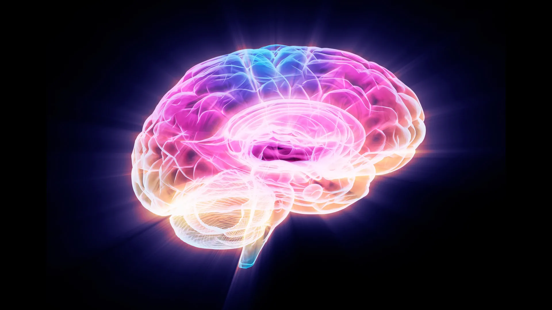 Scientists just found a protein that reverses brain aging