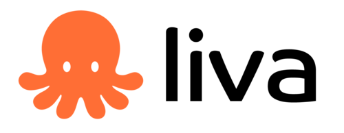 Liva AI (YC S25) Is Hiring
