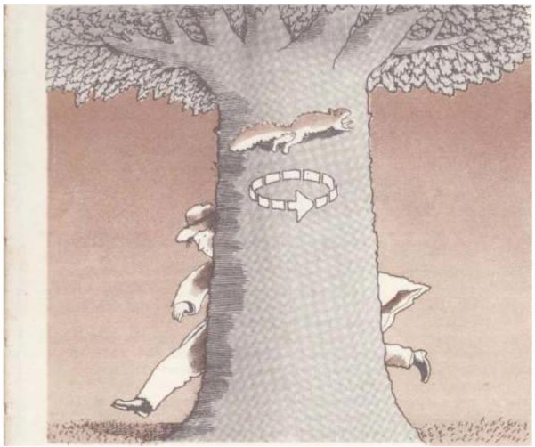 Round the tree, yes, but not round the squirrel