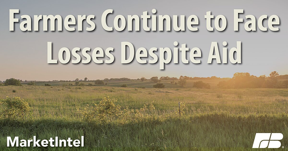 Significant US farm losses persist, despite federal assistance