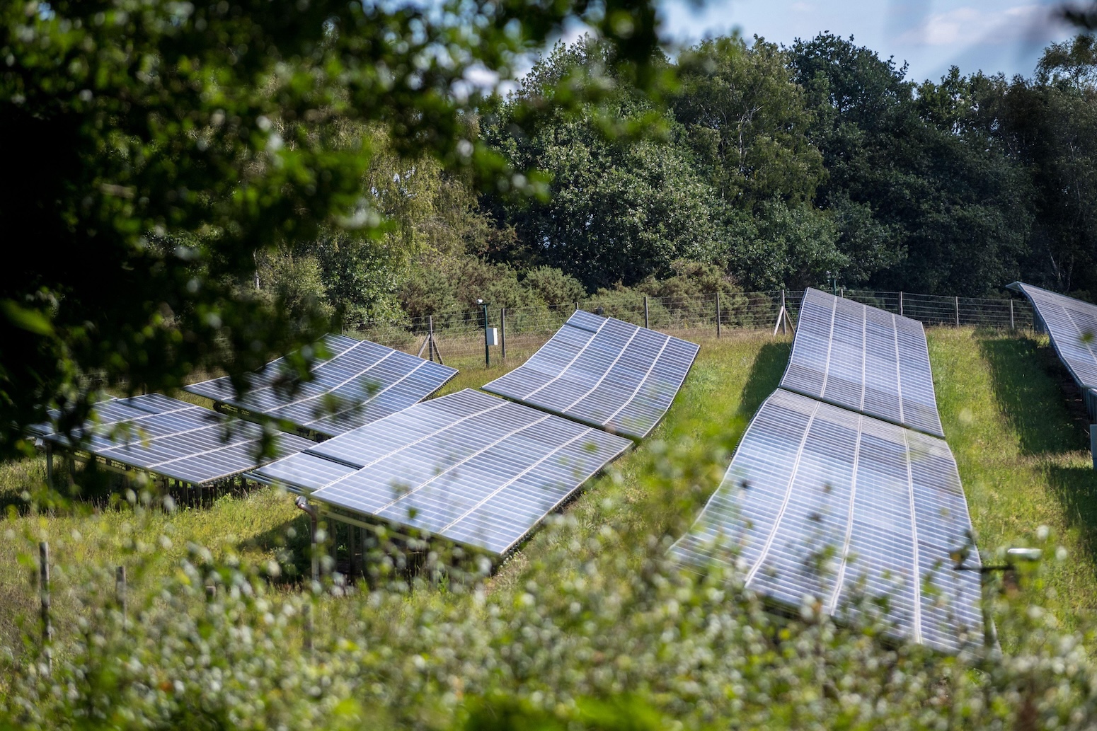 Q&A: New UK onshore wind and solar is ‘50% cheaper’ than new gas