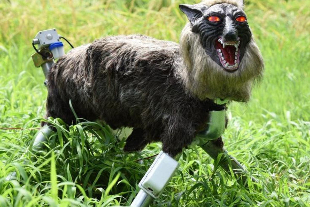 Japan’s robot wolf sells out as record bear attacks drive demand