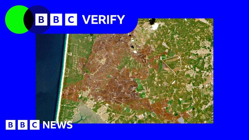 Europe’s scorched landscapes seen from space after summer heatwaves