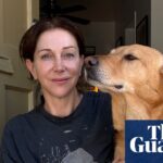Digging the grave of my skills: Hollywood creatives training AI to do their jobs