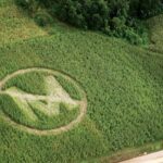 Monsanto’s Cruel, and Dangerous, Monopolization on American Farming (2008)
