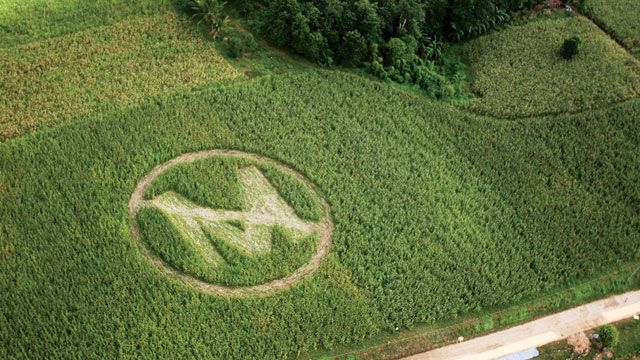 Monsanto’s Cruel, and Dangerous, Monopolization on American Farming (2008)